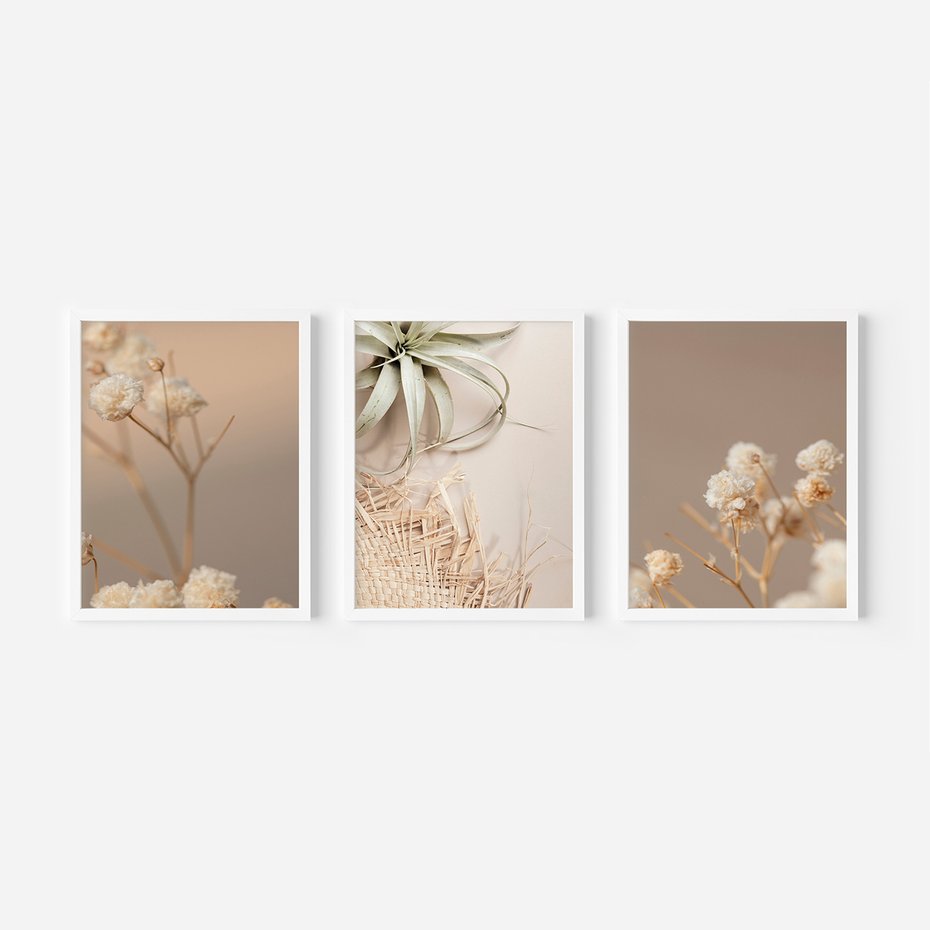 Zestaw obrazy w ramie, plakaty - kwiaty, roślina, suszone - rama biała