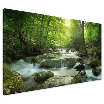 Obraz na płótnie - las, potok, woda