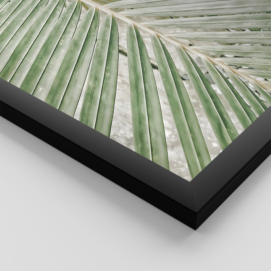 Zestaw obrazy w ramie, plakaty - liście, palmy, tropikalne - rama czarna