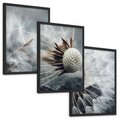 Zestaw obrazy w ramie, plakaty - dmuchawiec, nasiona, natura - rama czarna