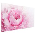 Obraz na płótnie - kwiat, płatki, różowy