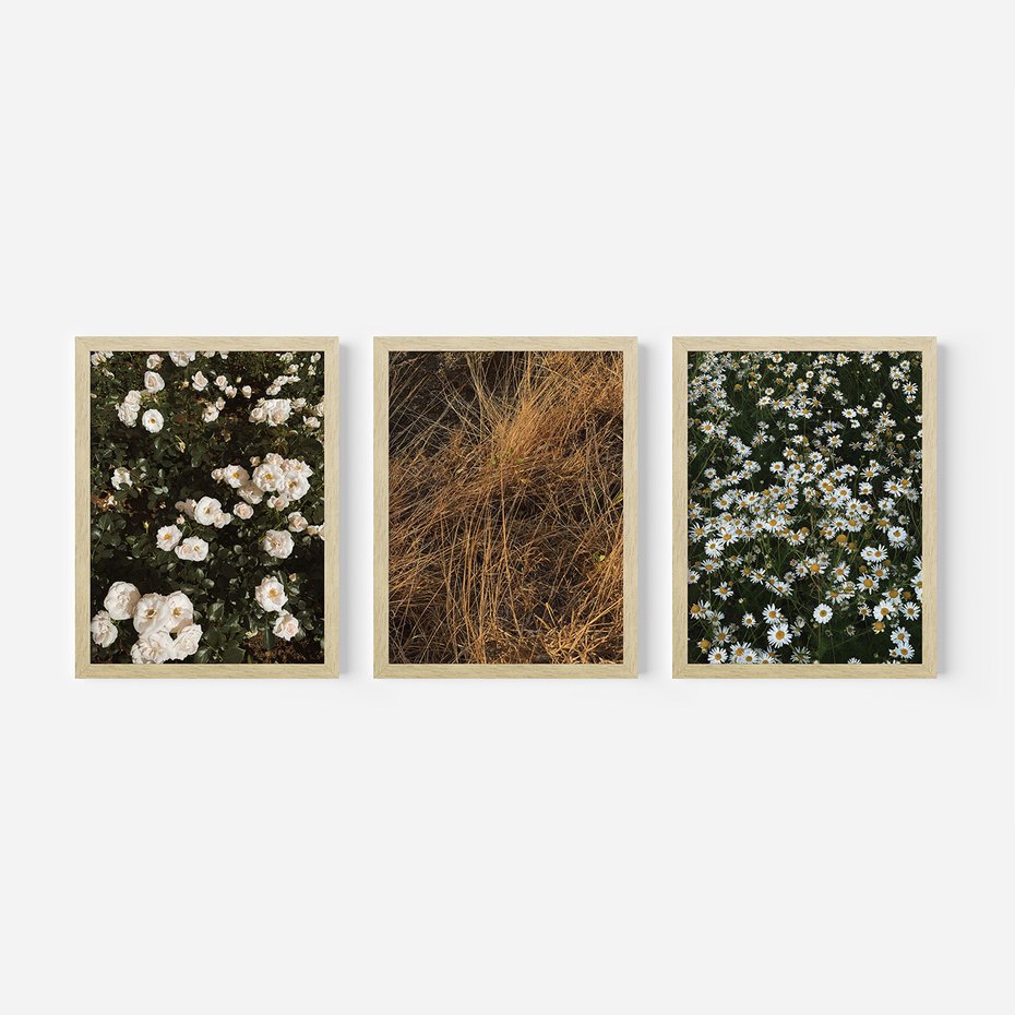 Zestaw obrazy w ramie, plakaty - kwiaty, rośliny, natura - rama drewno