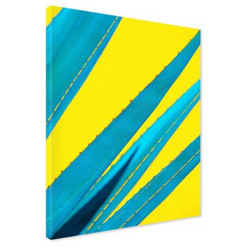 Obraz na płótnie - aloes, abstrakcja, roślina