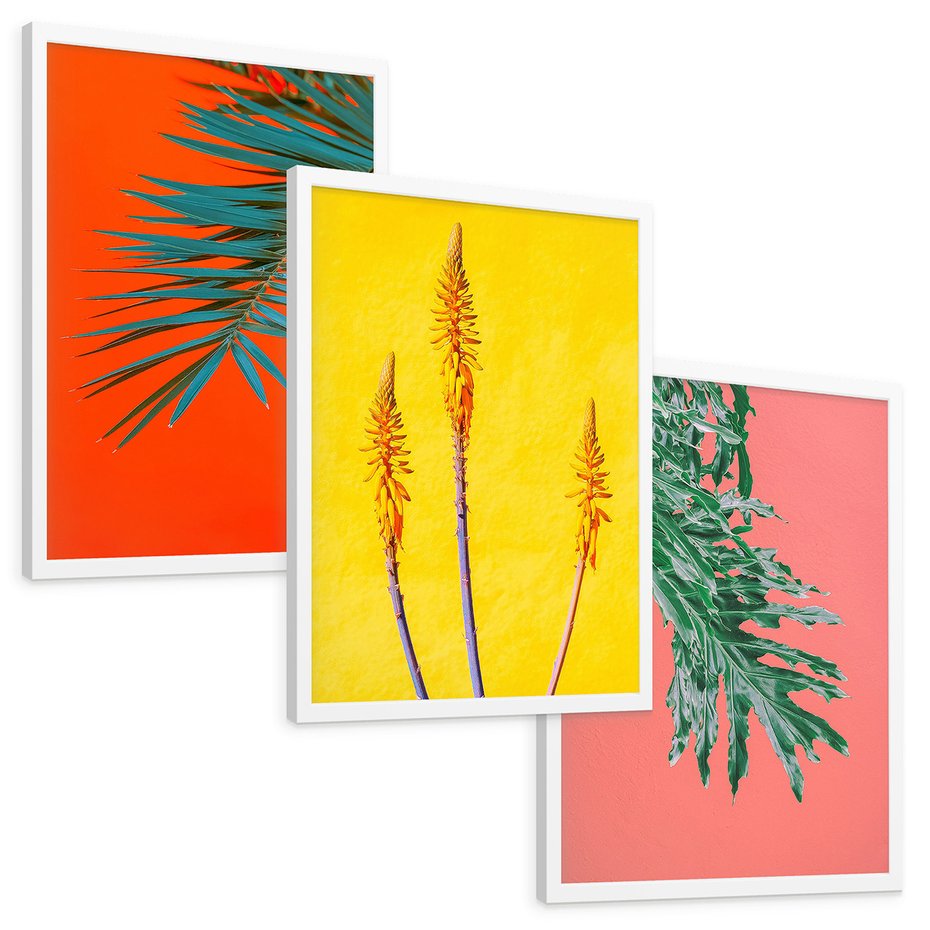 Zestaw obrazy w ramie, plakaty - liście, rośliny, kolory - rama biała
