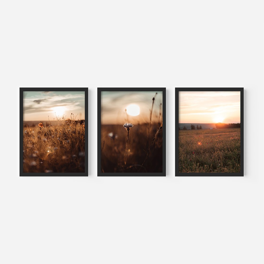 Zestaw obrazy w ramie, plakaty - pole, kwiaty, słońce - rama czarna
