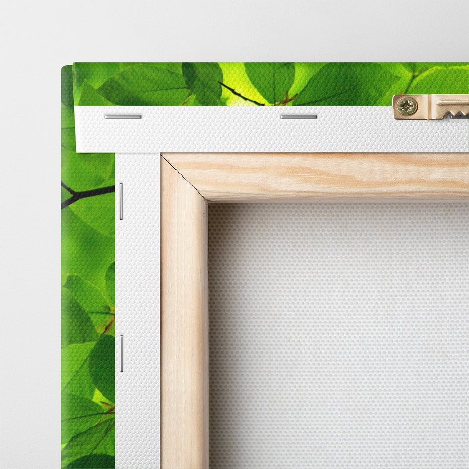 Obraz na płótnie - liście, woda, zieleń