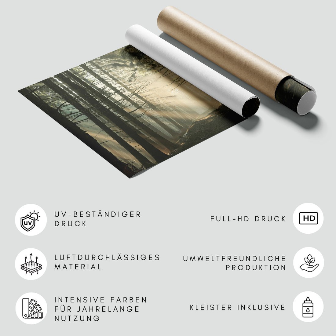 Fototapeta - las, drzewa, mgła