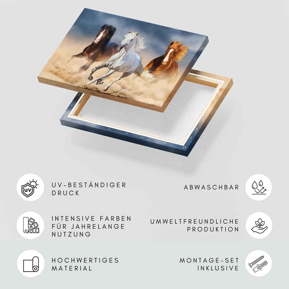 Obraz na płótnie - konie, galop, piasek