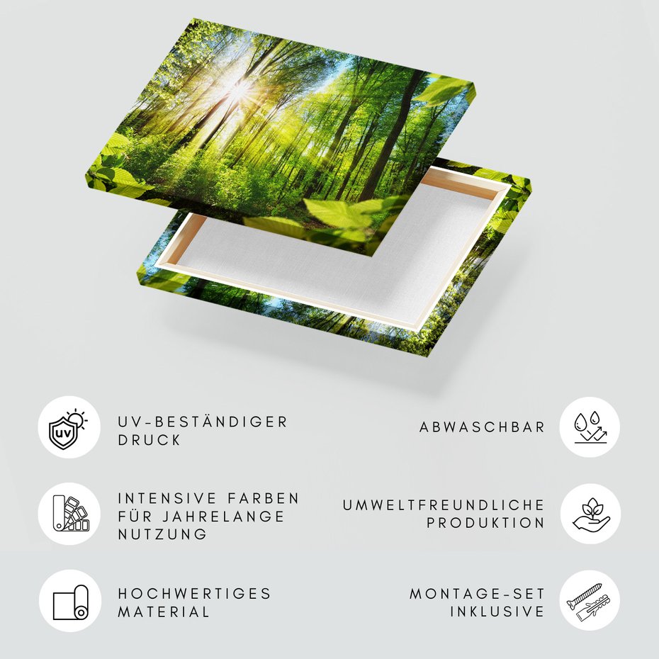 Obraz na płótnie - las, słońce, natura