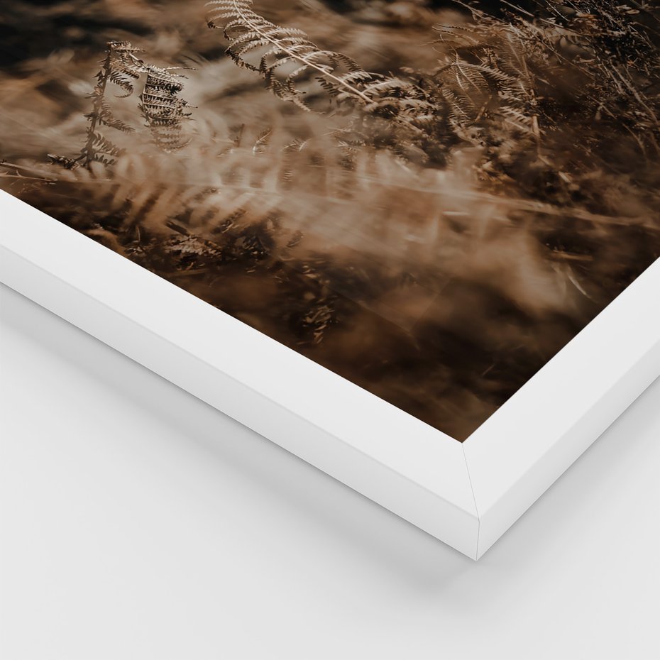 Zestaw obrazy w ramie, plakaty - jesień, liście, natura - rama biała