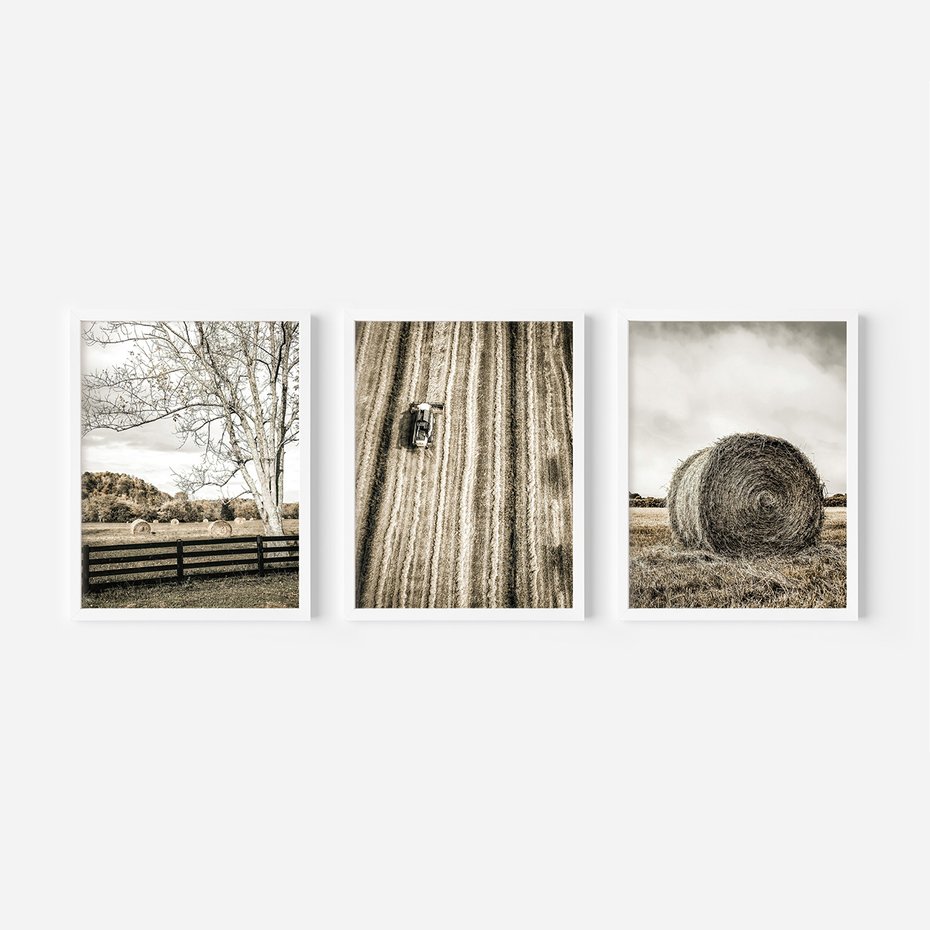 Zestaw obrazy w ramie, plakaty - wieś, pole, siano, - rama biała