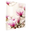 Obraz na płótnie - magnolia, kwiaty, wiosna