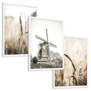 Zestaw obrazy w ramie, plakaty - pole, wieś, żniwa - rama biała