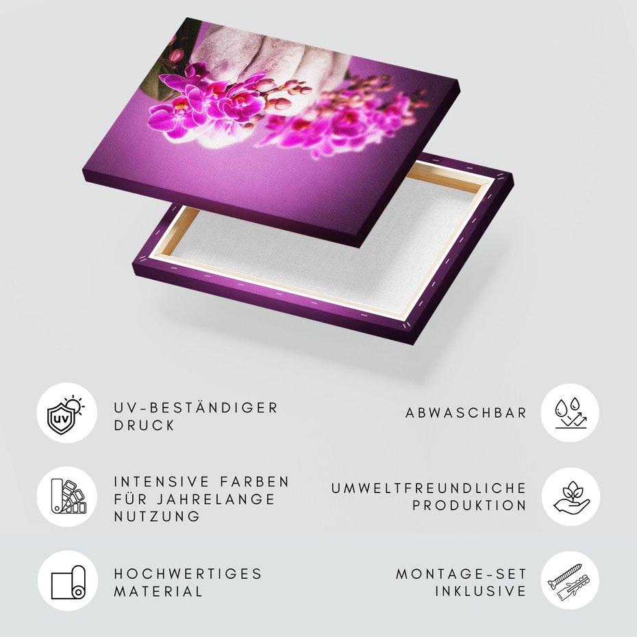 Obraz na płótnie - orchidea, kamienie, fioletowy