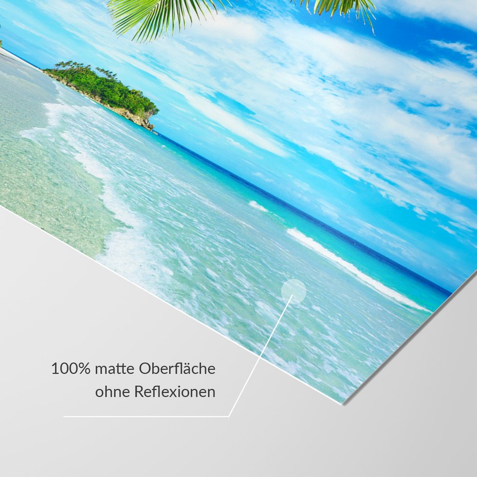 Fototapeta - plaża, morze, palmy