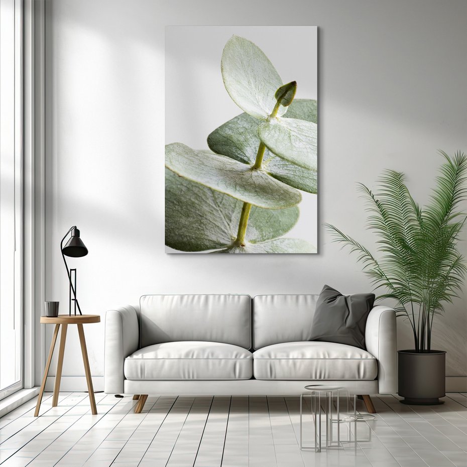 Obraz na płótnie - eukaliptus, liście, gałązka
