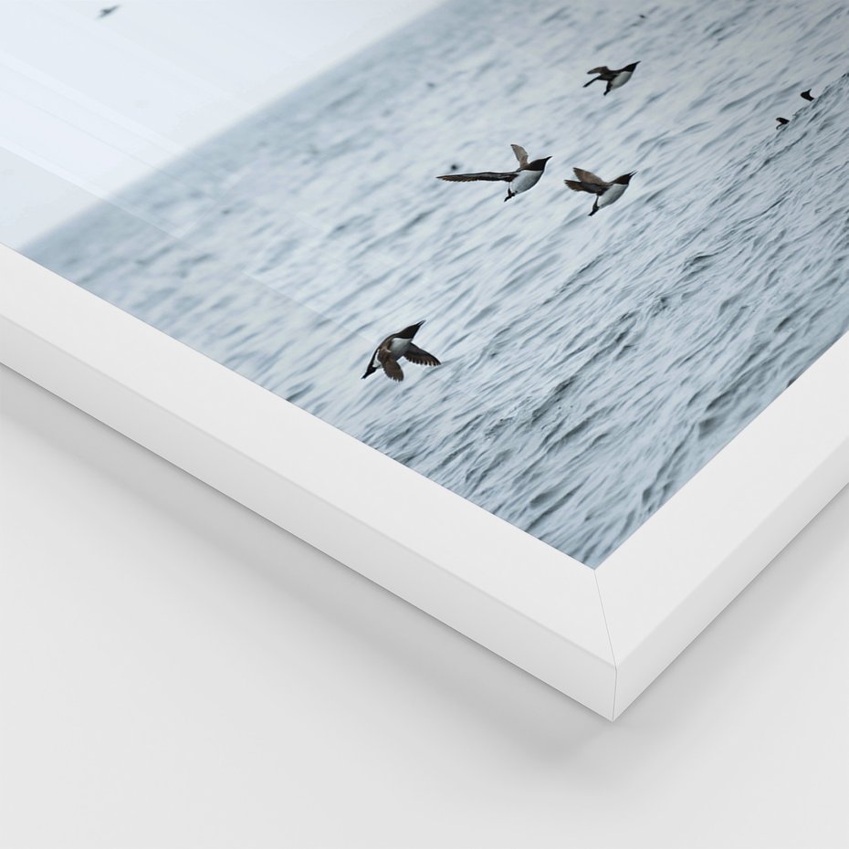 Zestaw obrazy w ramie, plakaty - ptaki, morze, łodzie - rama biała