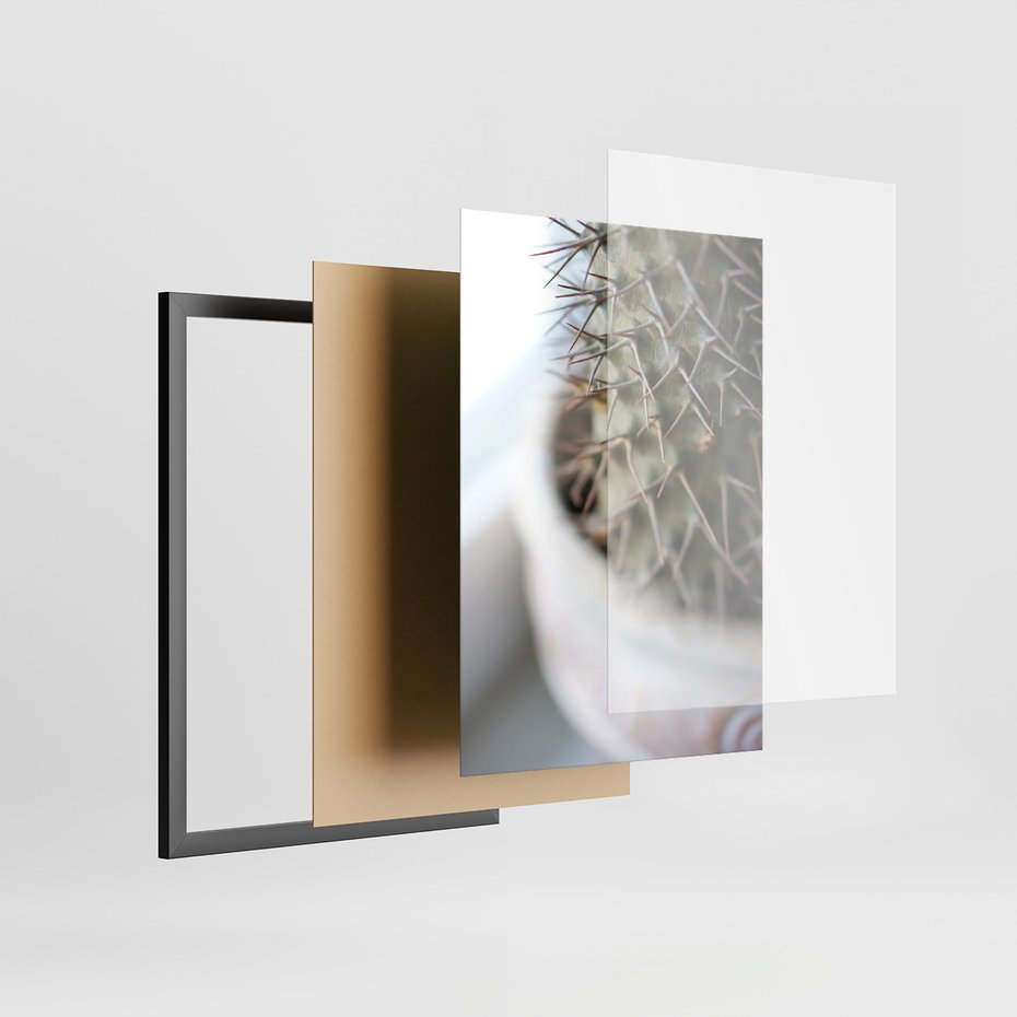 Zestaw obrazy w ramie, plakaty - kaktus, sukulenty, rośliny - rama czarna