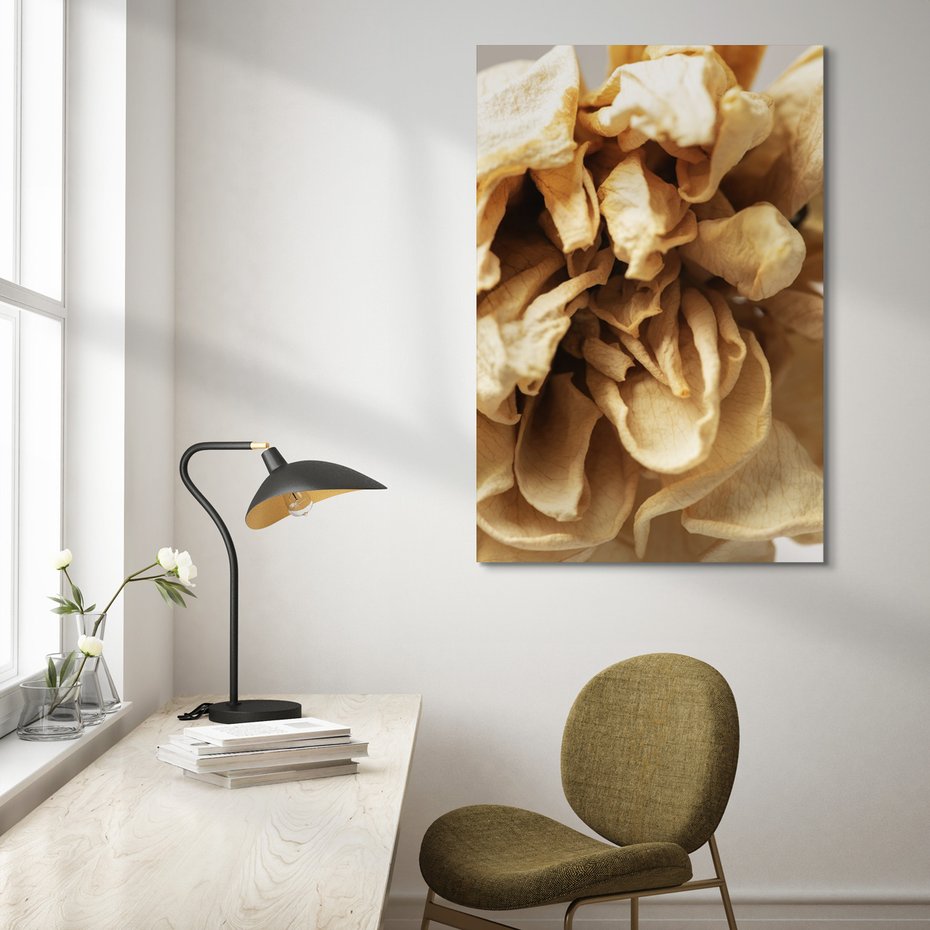 Obraz na płótnie - kwiat, płatki, suche