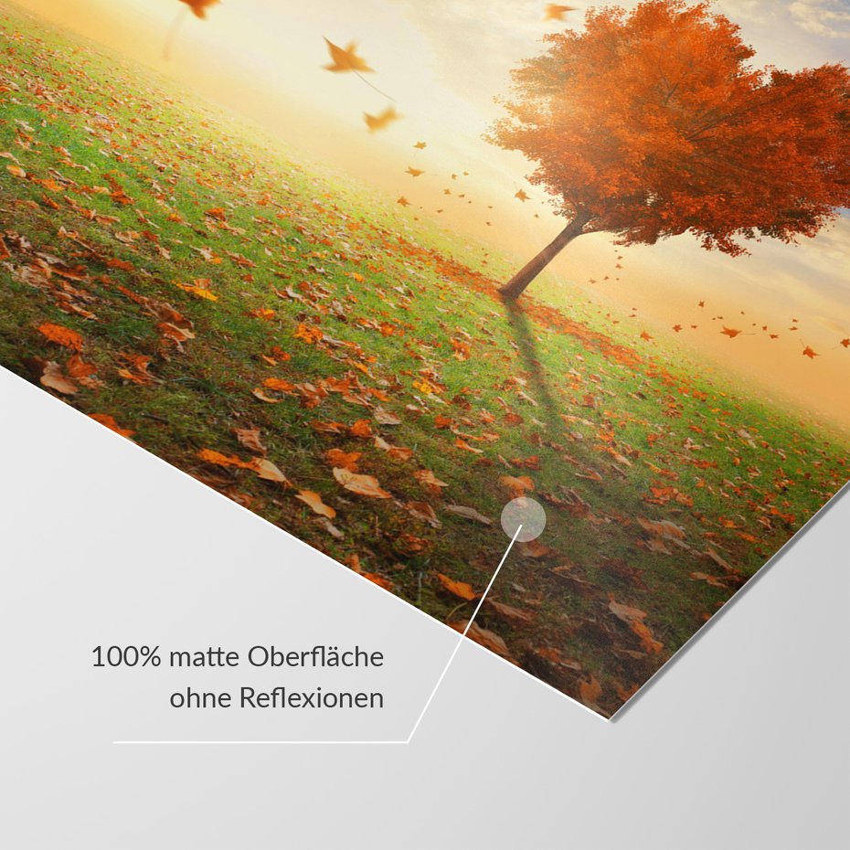 Fototapeta - jesień, drzewo, liście