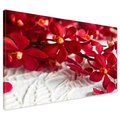 Obraz na płótnie - kwiaty, czerwone, płatki