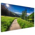 Obraz na płótnie - krajobraz, las, ścieżka