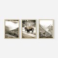 Zestaw obrazy w ramie, plakaty - krajobraz, zwierzę, góry - rama drewno