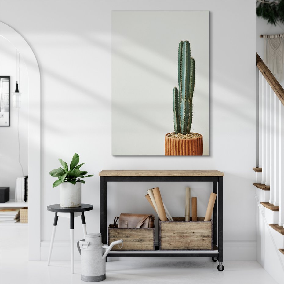 Obraz na płótnie - kaktus, roślina, doniczka