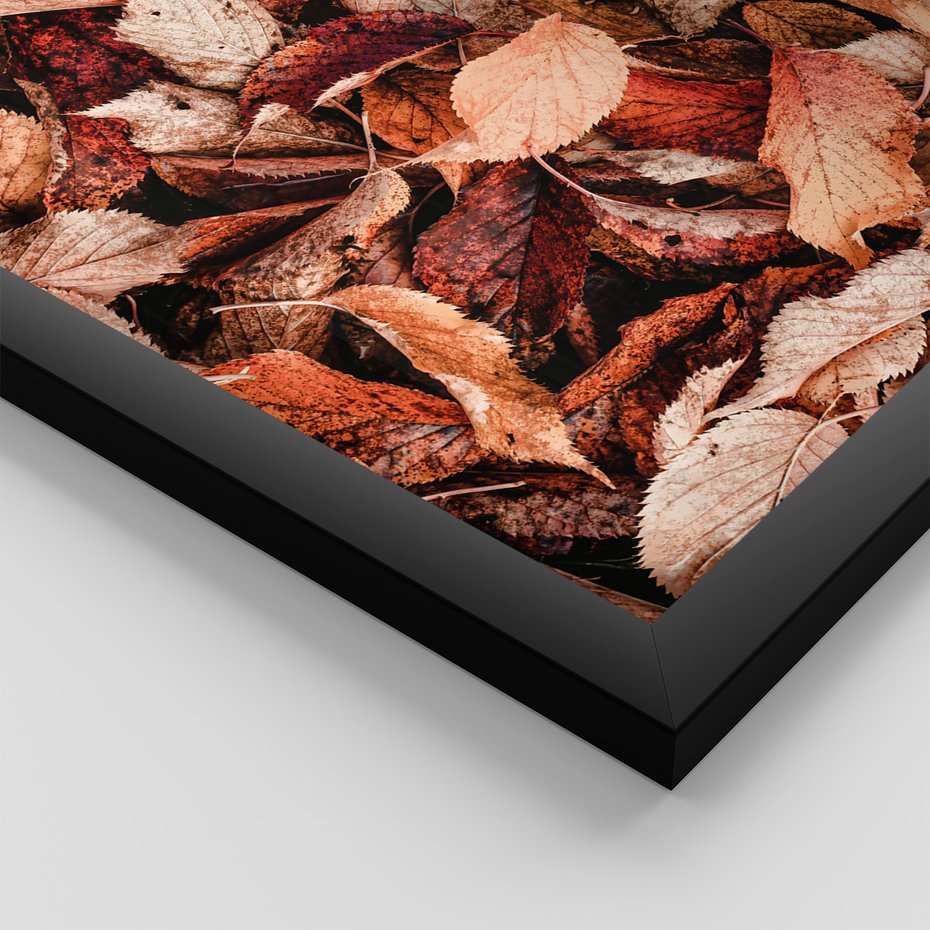 Zestaw obrazy w ramie, plakaty - liście,jesień,drzewa - rama czarna