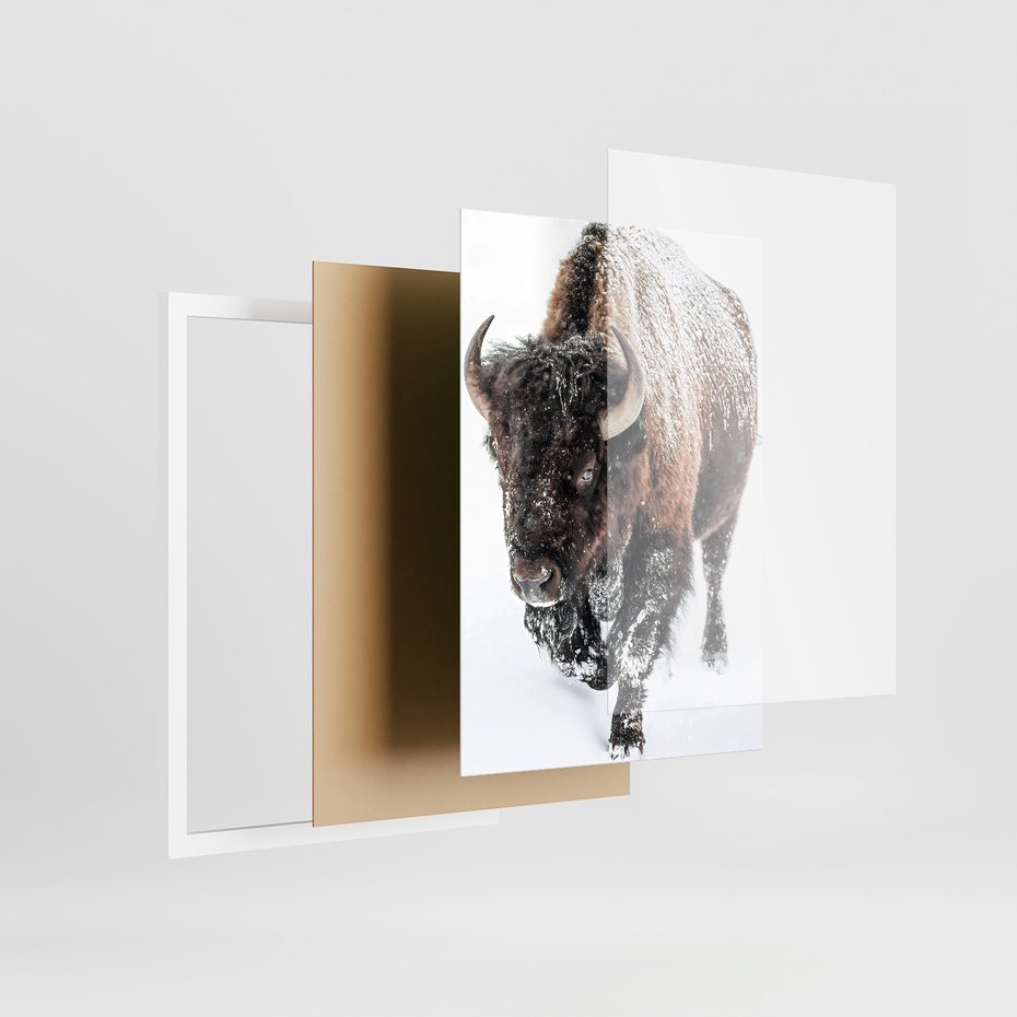 Zestaw obrazy w ramie, plakaty - bizon, łoś, zima - rama biała