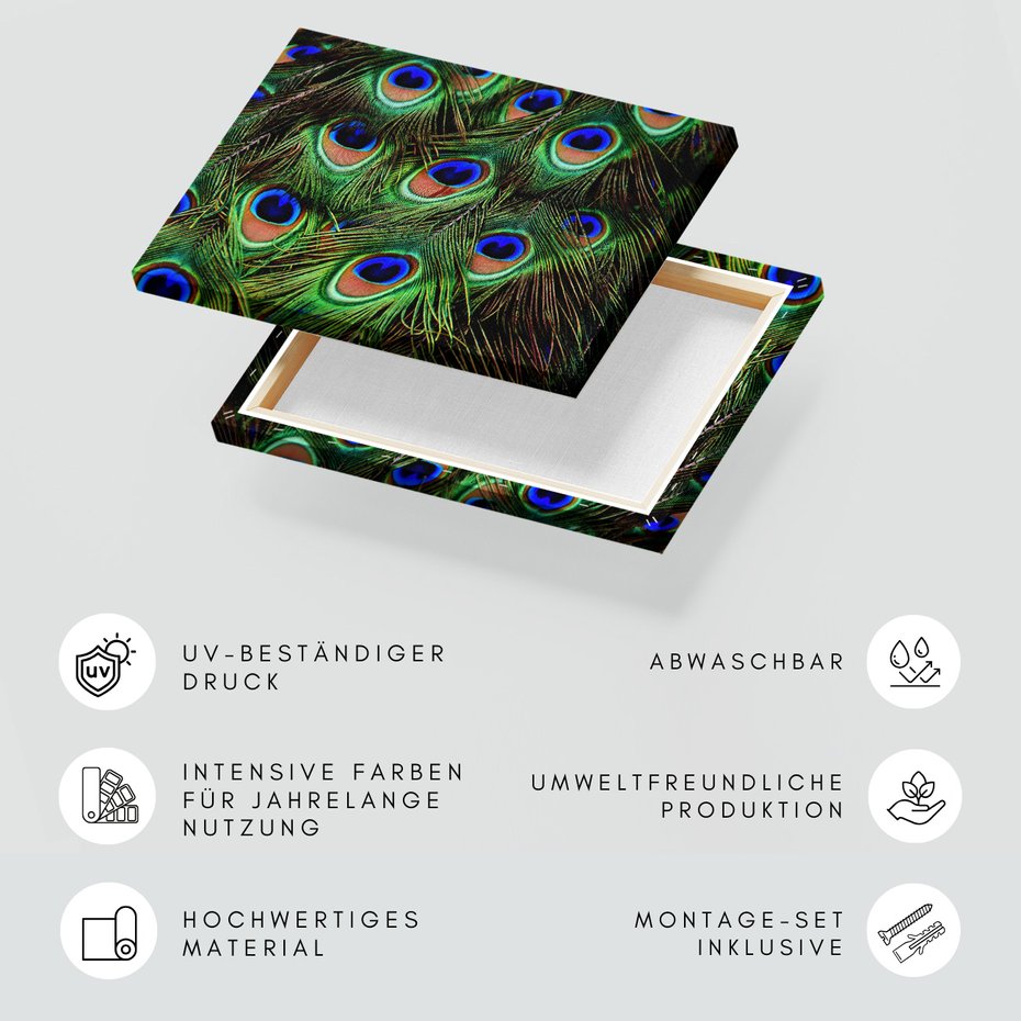 Obraz na płótnie - pawie pióra, pióra, abstrakcja