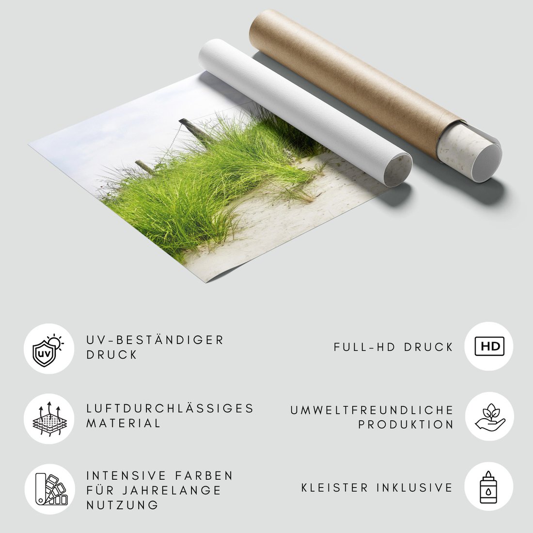 Fototapeta - wydma, trawa, plaża