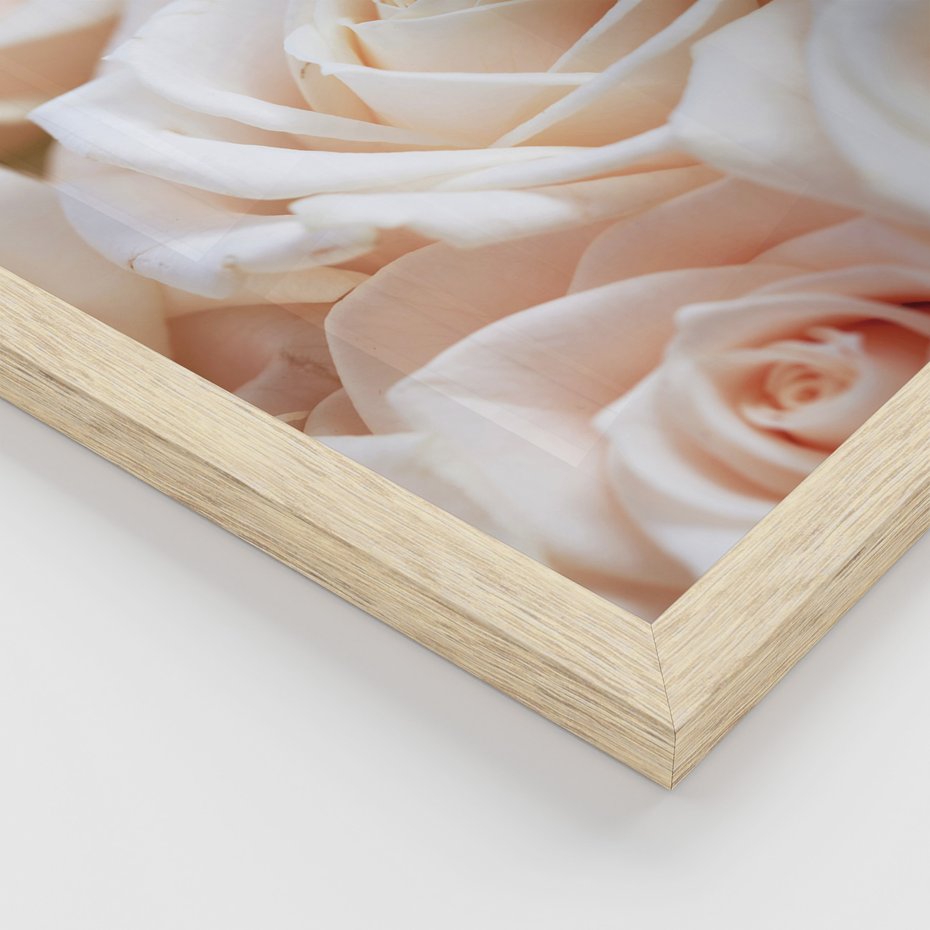 Zestaw obrazy w ramie, plakaty - kwiaty, róże, pastelowe - rama drewno