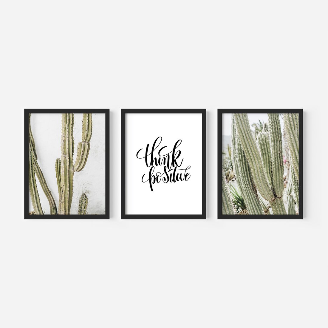 Zestaw obrazy w ramie, plakaty - kaktusy,rośliny,tekst - rama czarna