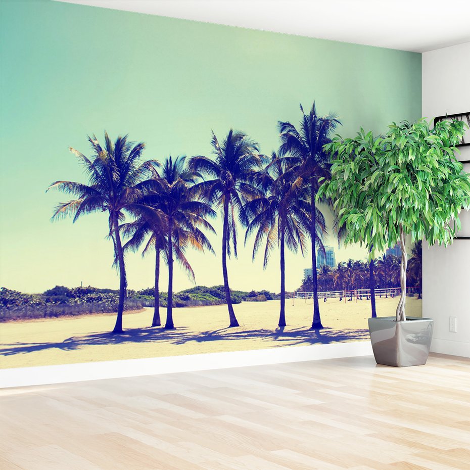 Fototapeta - palmy, plaża, niebo