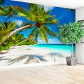 Fototapeta - palmy, plaża, morze