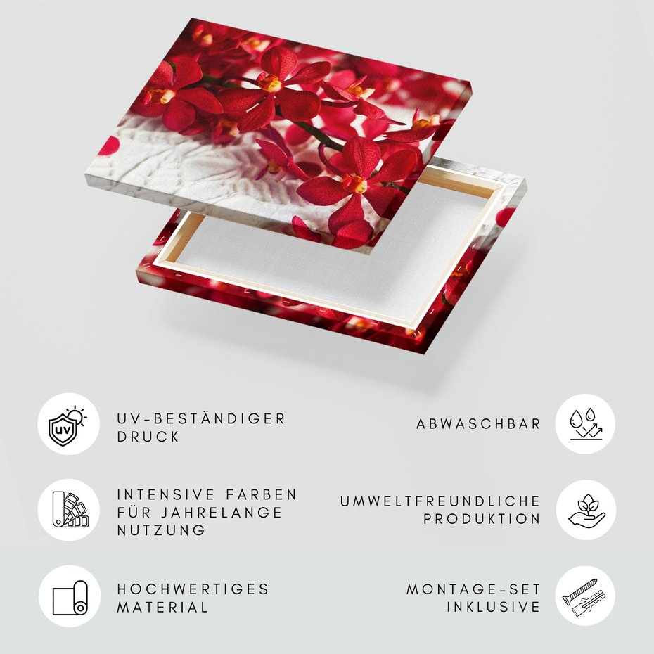 Obraz na płótnie - kwiaty, czerwone, płatki