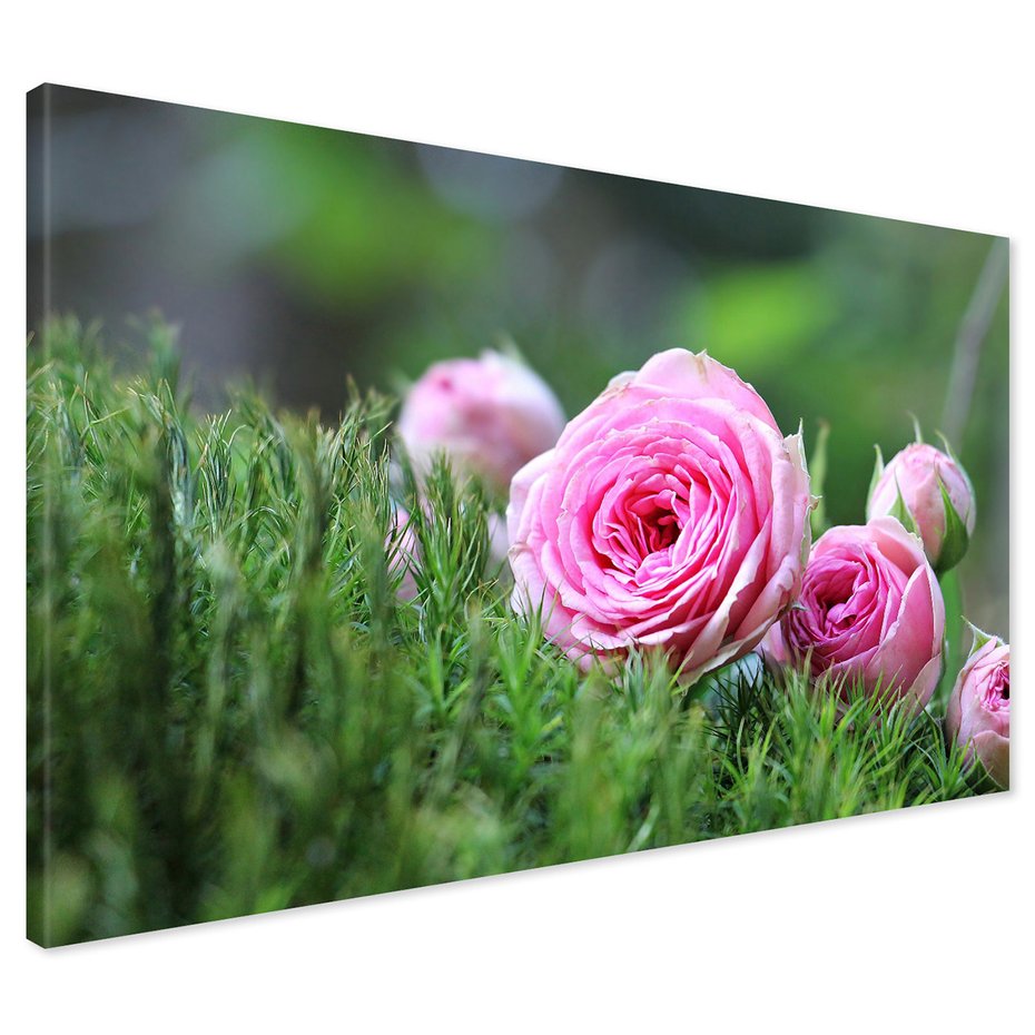 Obraz na płótnie - róże, kwiaty, natura