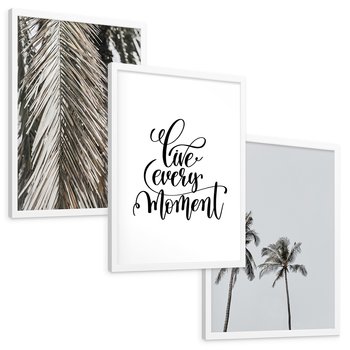 Zestaw obrazy w ramie, plakaty - liście, palmy, napisy - rama biała