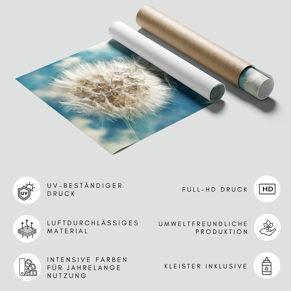 Fototapeta - dmuchawiec, nasiona, delikatność