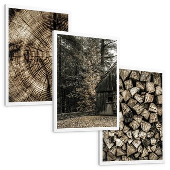 Zestaw obrazy w ramie, plakaty - drewno, kora, natura - rama biała