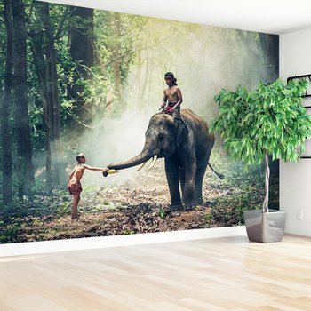 Fototapeta - słoń, chłopcy, las