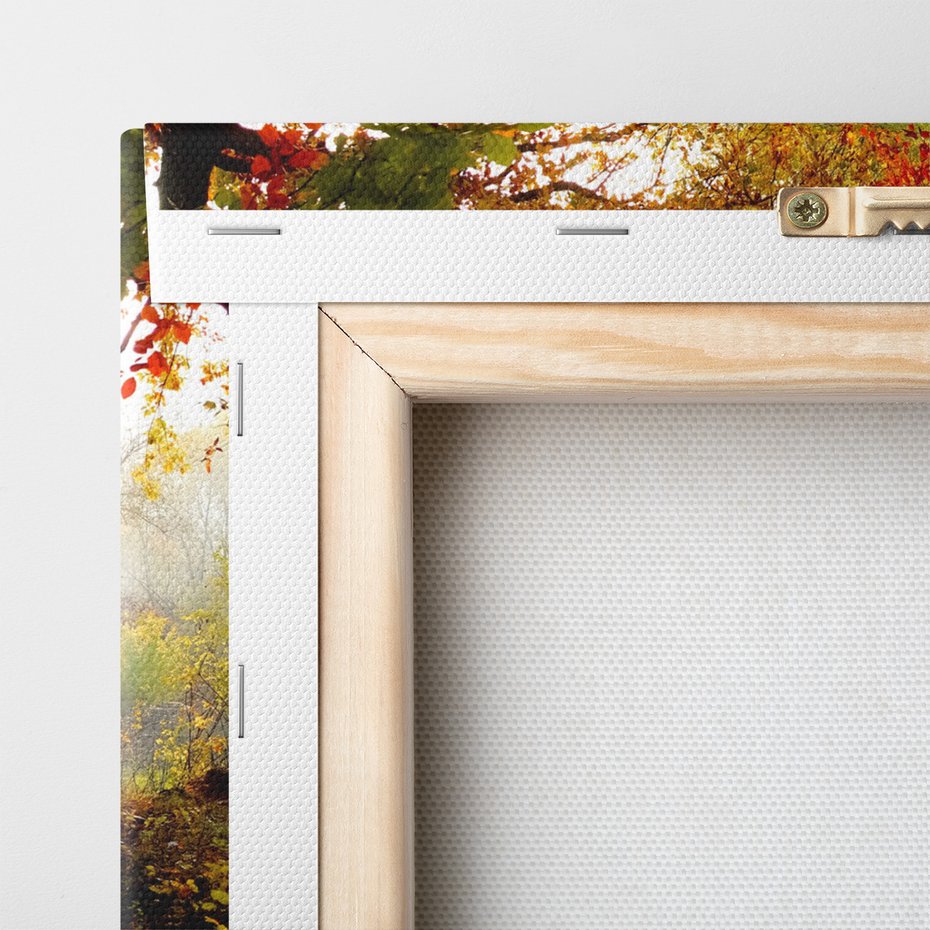 Obraz na płótnie - las, jesień, droga