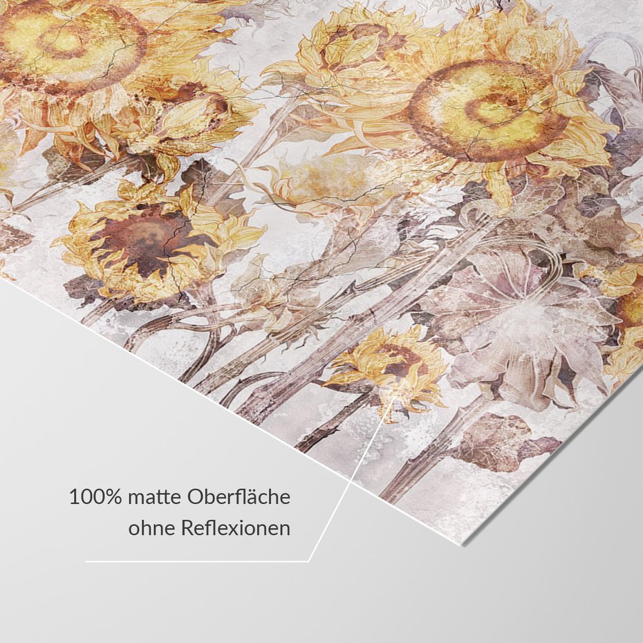 Fototapeta - beton, kwiaty, słoneczniki