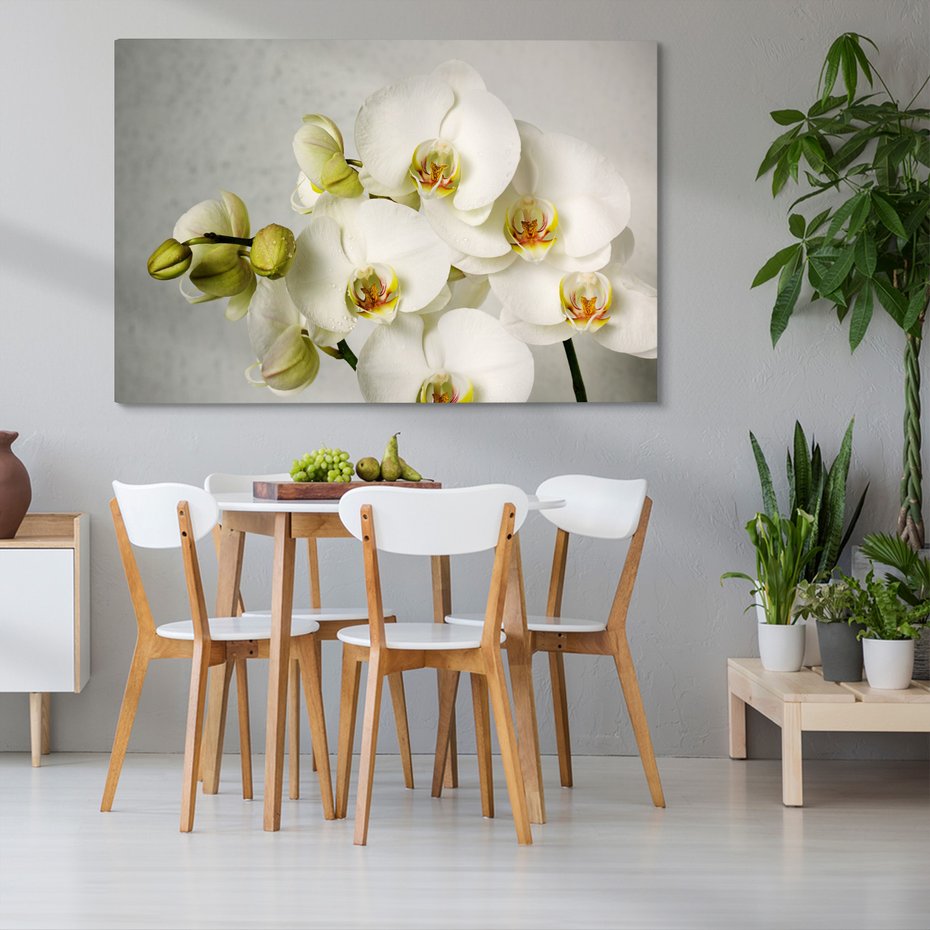 Obraz na płótnie - kwiaty, orchidee, białe,