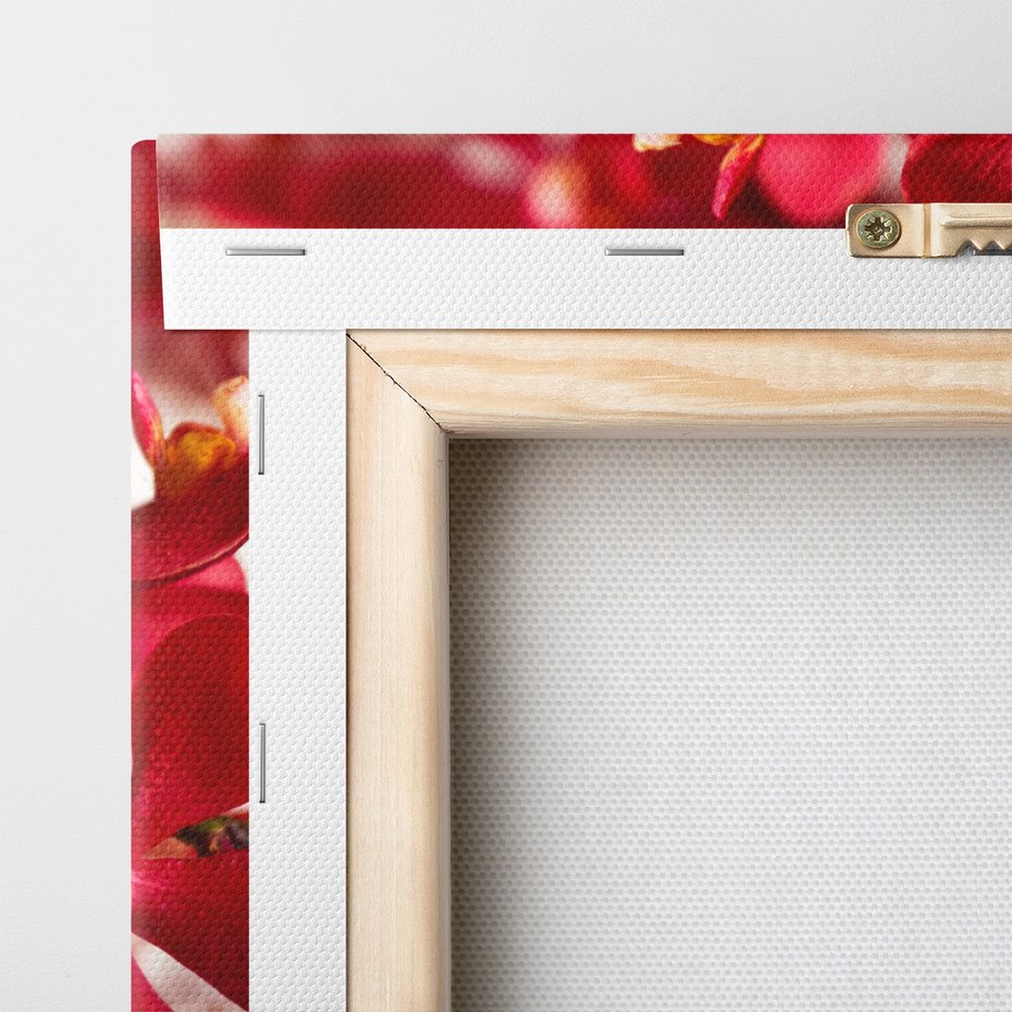 Obraz na płótnie - kwiaty, czerwone, płatki