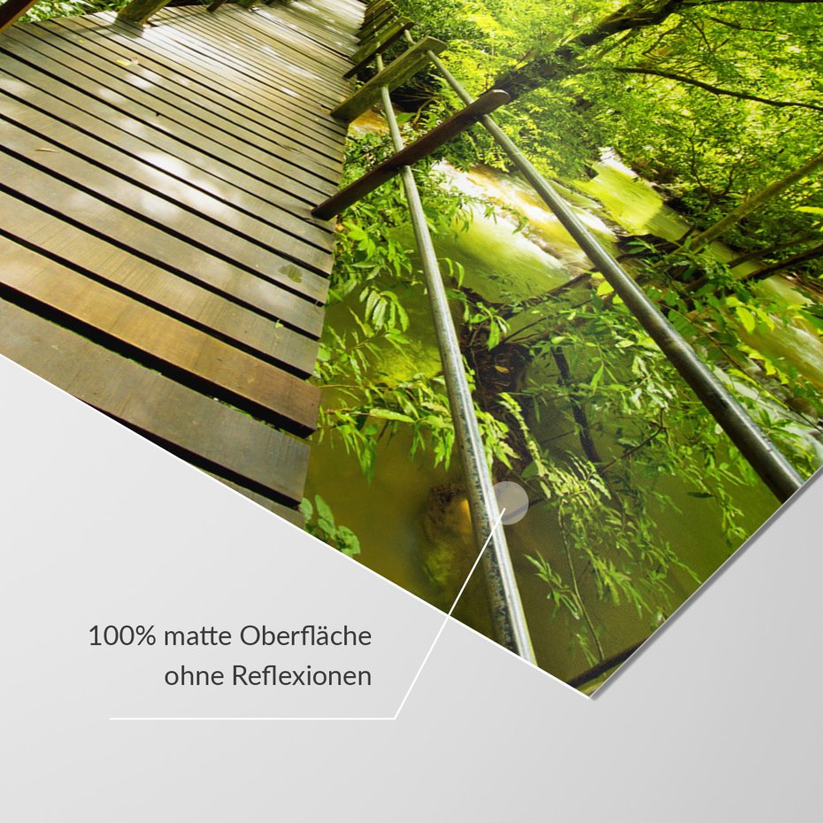 Fototapeta - las, most, natura