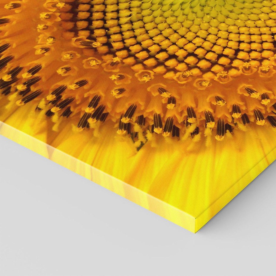 Obraz na płótnie - słonecznik, kwiat, zbliżenie