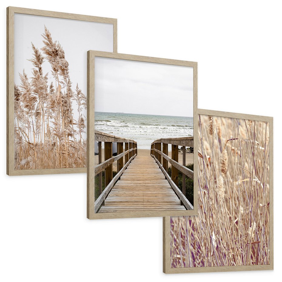 Zestaw obrazy w ramie, plakaty - trzcina, plaża, morze - rama drewno