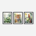Zestaw obrazy w ramie, plakaty - papuga, liście, tygrys - rama czarna